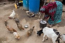 The story of Khadra
Used to be a traditional midwife, a mother of 7children. .Stopped working as a female circumcision person after witnessing girls who had complications after the homemade procedure. Works as a tailor now at their home, where her mother and grandmother and aunt live with her among her 7 children. Now volunteers with Candlelight to do awareness about FGM. . Bild Hühner