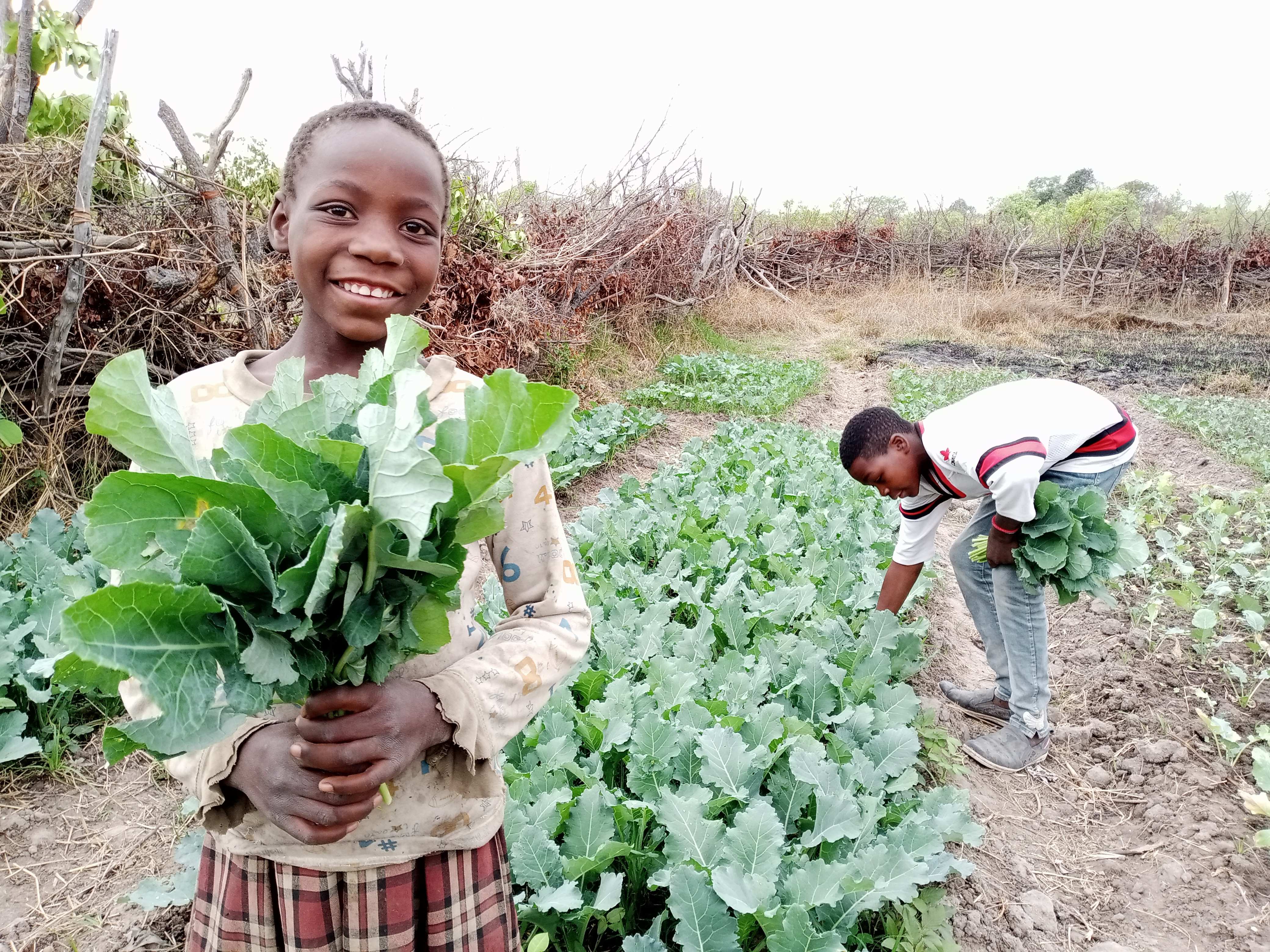 Mädchen aus unserem Projekt zeigt Ernteerträge (Quelle: BICC-CCDP)