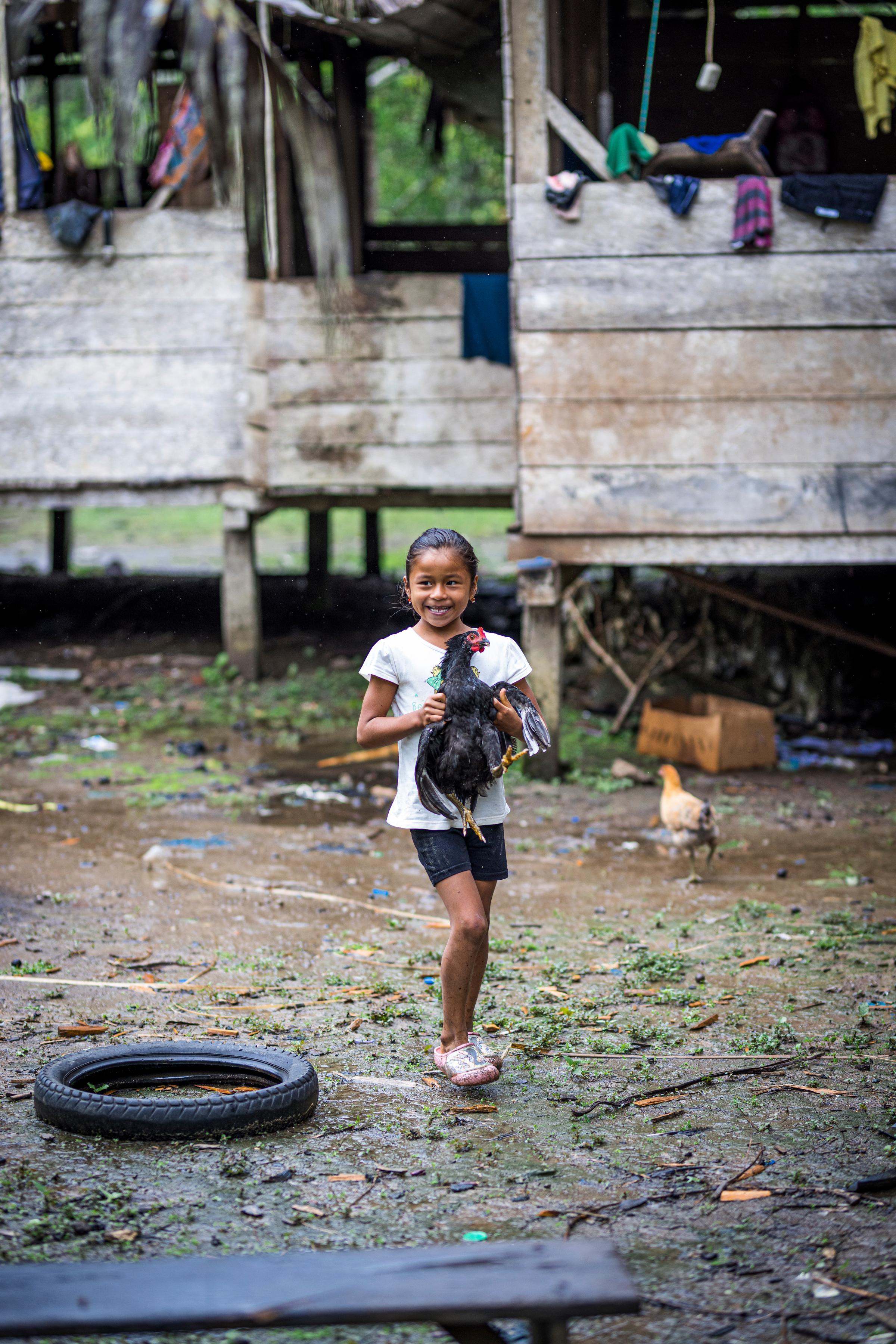 Redaktionsreise Ecuador 12/22 BoM Arajuno
Referenzmaterial für die GCW23 Redaktionsreise Ecuador 12/22 BoM Arajuno
Referenzmaterial für die GCW23